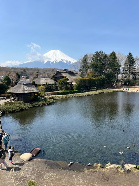 From Tokyo: Mount Fuji and Hakone Private Day Trip - Who This Tour Suits Best