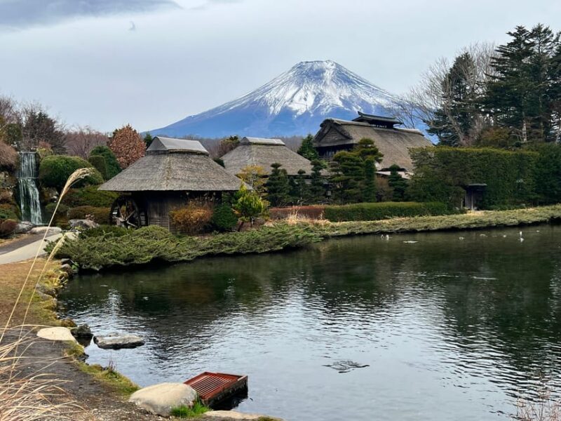 From Tokyo: Mount Fuji and Hakone Private Day Trip - Final Thoughts