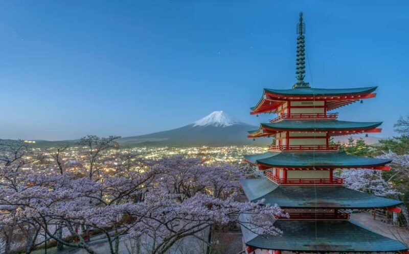 From Tokyo: Mount Fuji And Hakone Private Full Day Trip - Who This Tour Is Best For