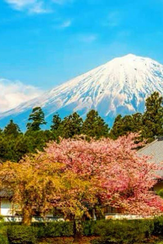 From Tokyo: Mount Fuji And Hakone Private Full Day Trip - Key Points