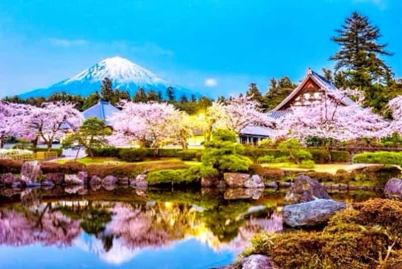 From Tokyo: Mount Fuji And Hakone Private Full Day Trip - The Itinerary Breakdown: What to Expect