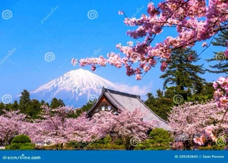 From Tokyo: Mount Fuji And Hakone Private Full Day Trip - Real Traveler Insights