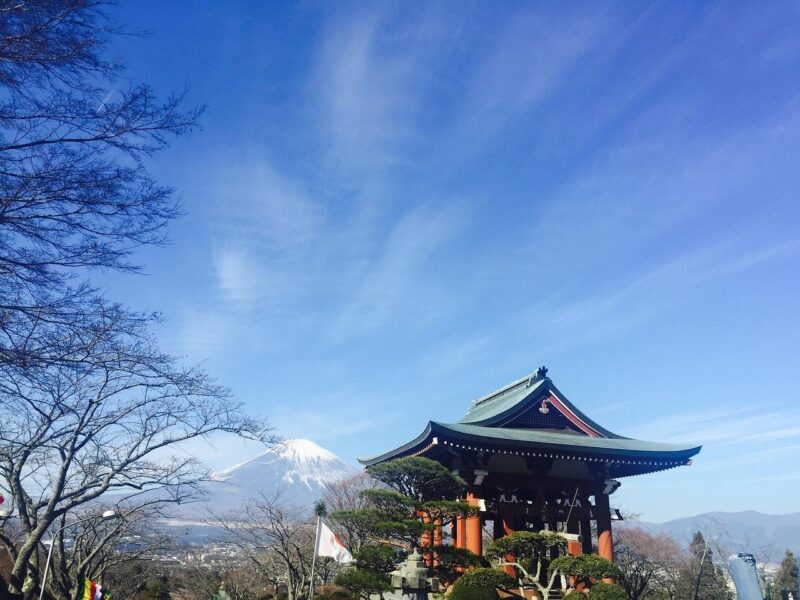 From Tokyo: Mount Fuji And Hakone Private Guided Day Trip - Who Will Love This Tour?