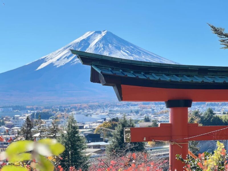 From Tokyo MOUNT FUJI and Lake Kawaguchi-ku Full Day Tour - An In-Depth Look at the Full-Day Tour