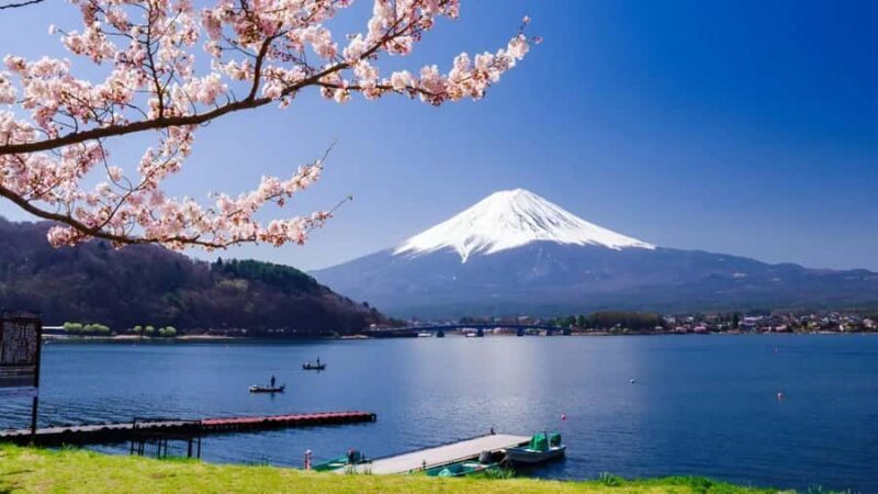 From Tokyo: Mount Fuji Customizable Guided Full Day Tour - FAQs