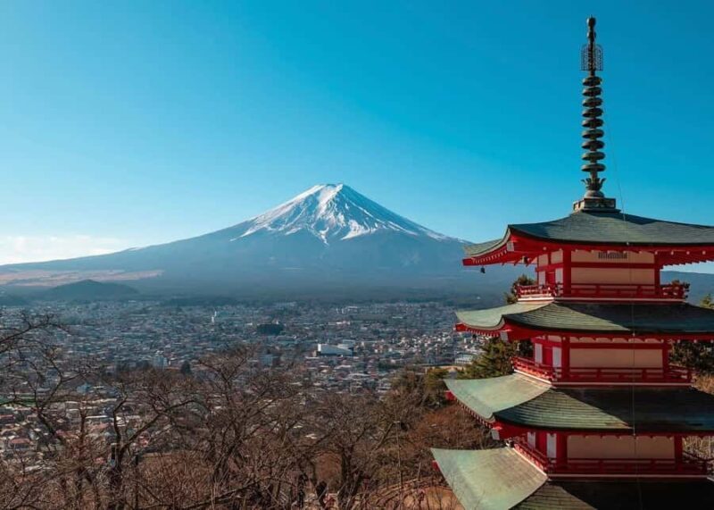 From Tokyo: Mount Fuji Customizable Guided Private Tour - Key Points