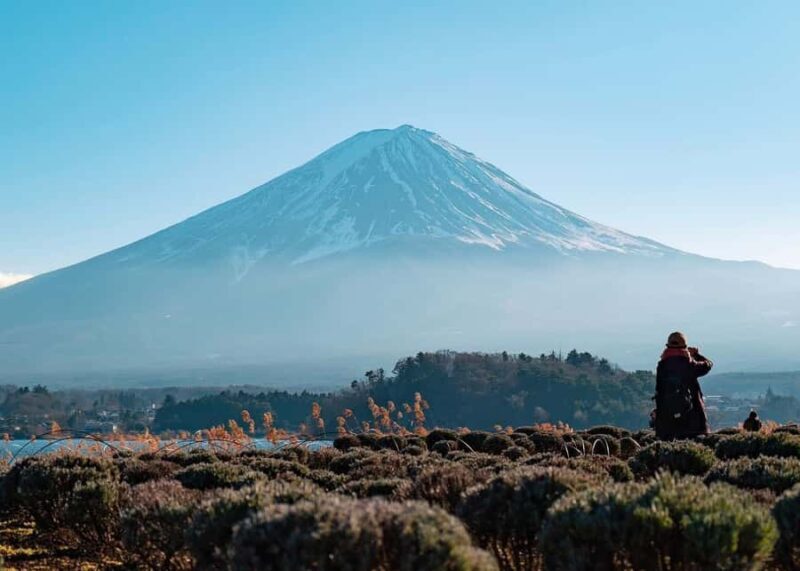From Tokyo: Mount Fuji Customizable Guided Private Tour - Why Choose This Tour?