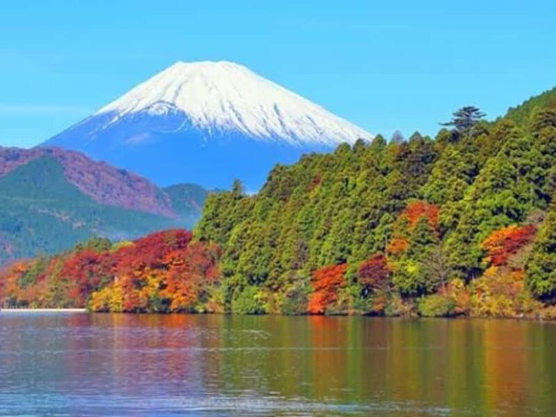From Tokyo: Mount Fuji Customizable Private Tour with Driver - Key Points