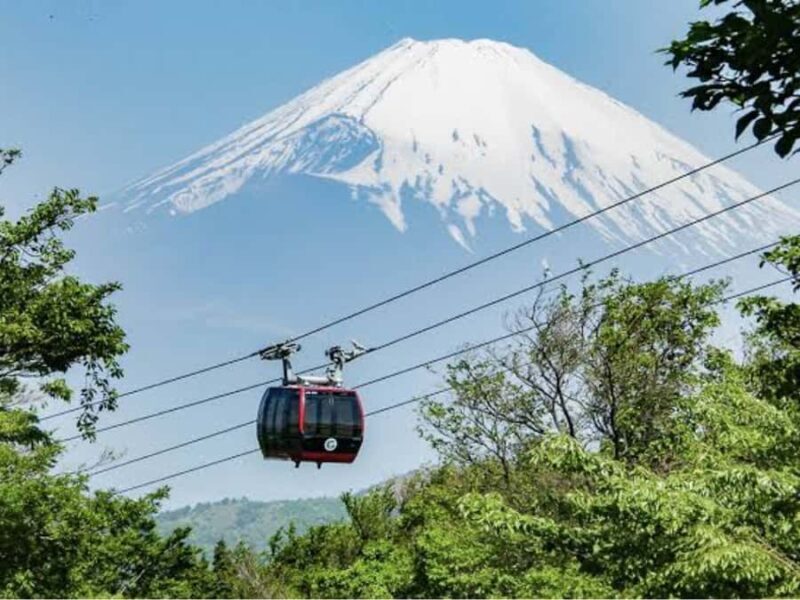From Tokyo: Mount Fuji Customizable Private Tour with Driver - Discovering Mount Fuji in Style and Comfort