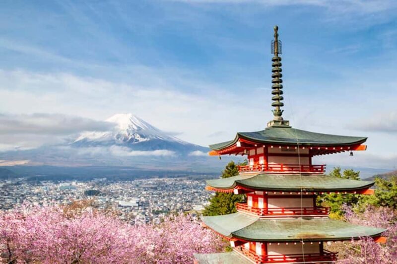 From Tokyo : Mount Fuji Customizable tour in private car - Key Points