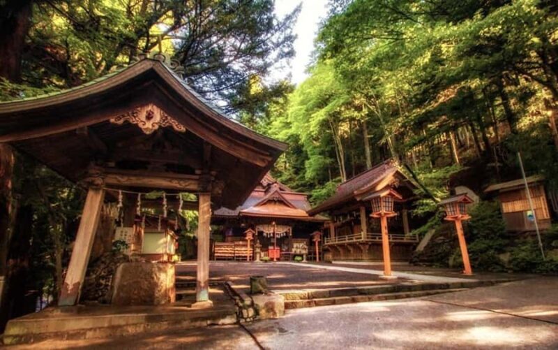 From Tokyo : Mount Fuji Customizable tour in private car - An In-Depth Look at the Tour Experience