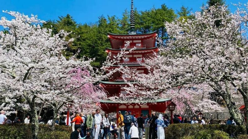 From Tokyo : Mount Fuji Customizable tour in private car - Final Thoughts: Is It Worth It?