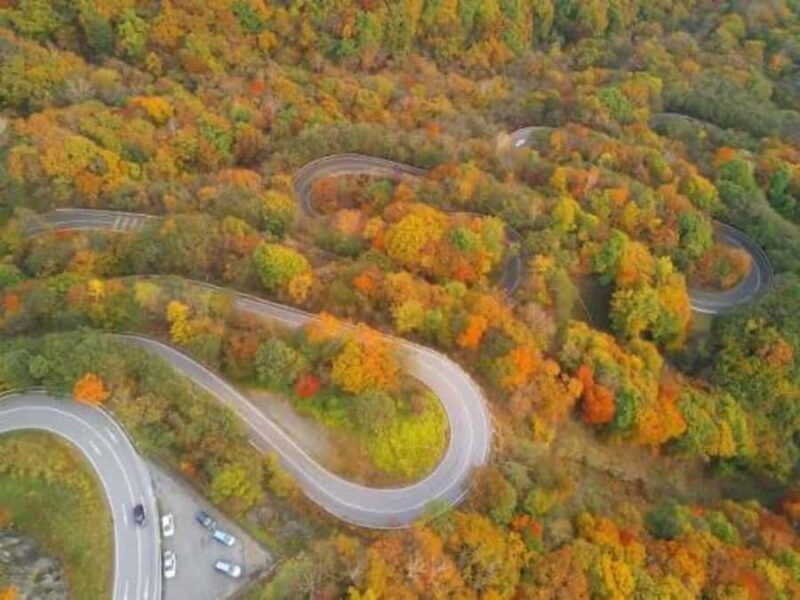 From Tokyo: Mount Fuji Customized Tour With English Guide - FAQs