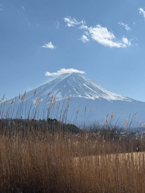 From Tokyo: Mount Fuji Customized Tour With Guide - Final Thoughts: Who Will Love This Tour?