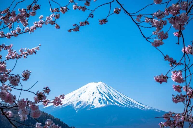 From Tokyo: Mount Fuji Day Trip  Private & Customizable - Exploring the Mount Fuji Day Trip: A Practical Review