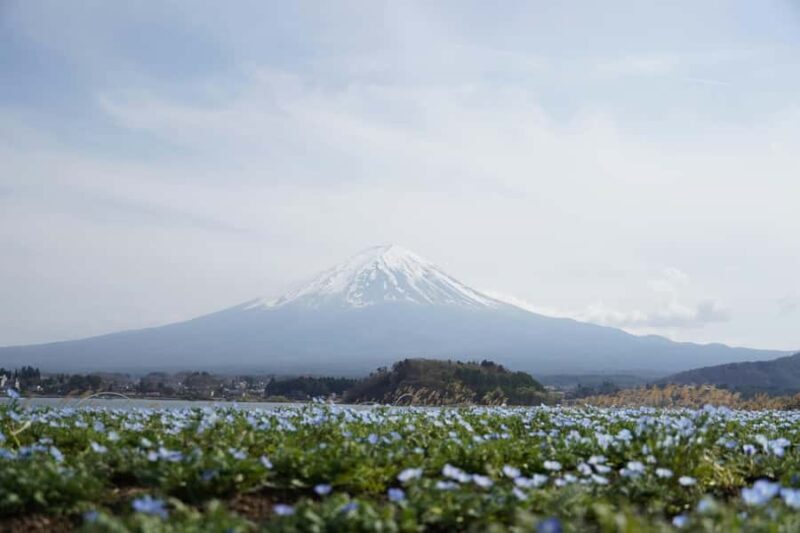 From Tokyo: Mount Fuji Day Trip  Private & Customizable - FAQ