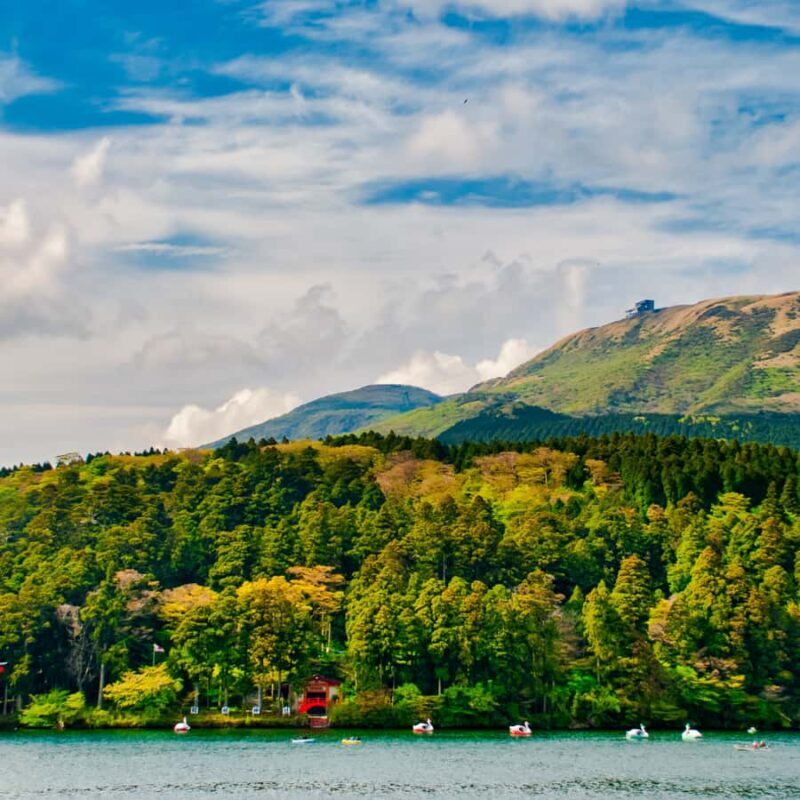 From Tokyo: Mount Fuji Five Lakes Private Full Day Tour - The Sum Up