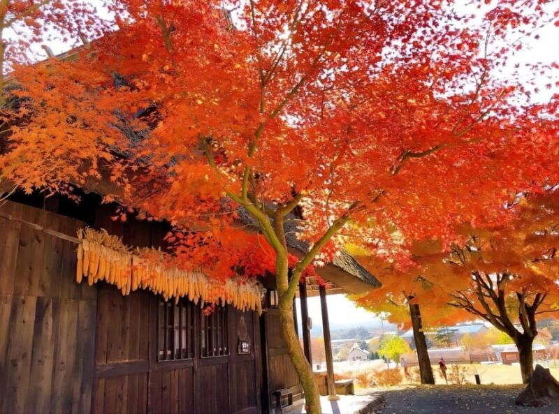 from-tokyo-mount-fuji-four-famous-scenic-spots-day-tour