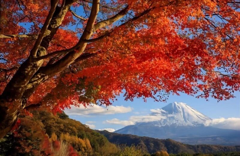 from-tokyo-mount-fuji-four-famous-scenic-spots-day-tour