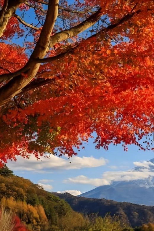 from-tokyo-mount-fuji-four-famous-scenic-spots-day-tour