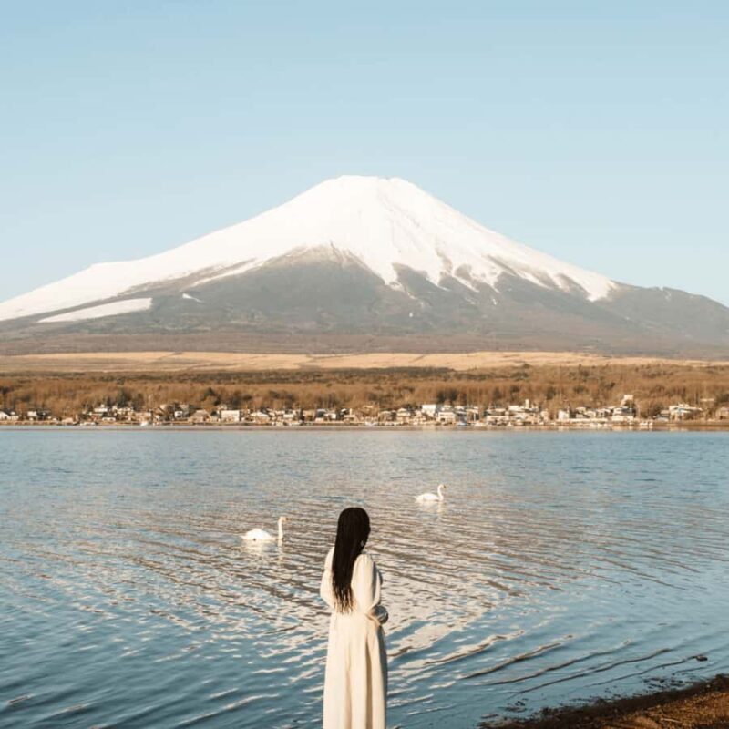 From Tokyo: Mount Fuji Full Customize Itinerary Private Tour - The Sum Up