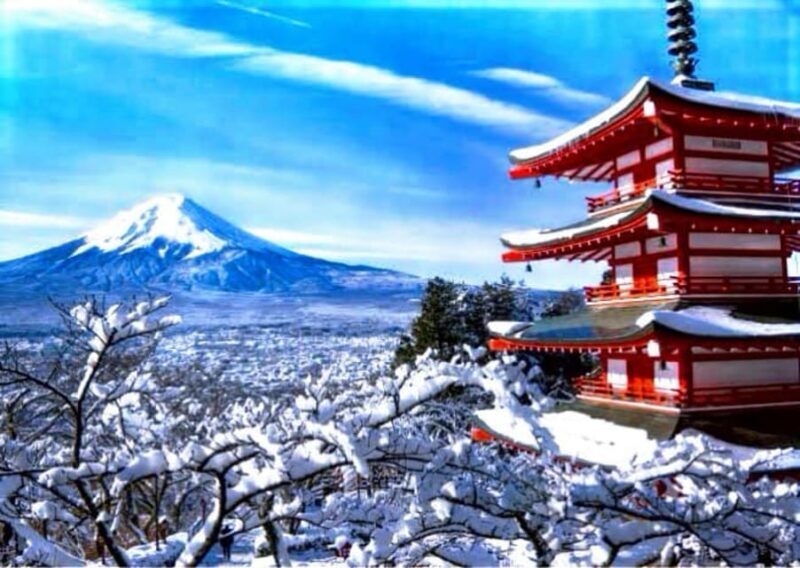 From Tokyo: Mount Fuji Full Customized Tour English Guide - FAQ