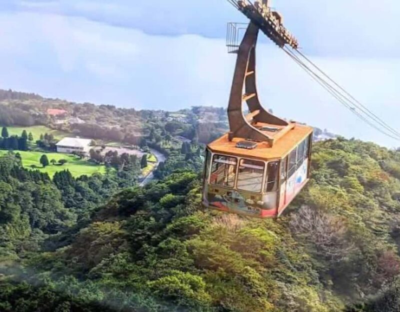 From Tokyo: Mount Fuji Full Day Customizable Private Tour - Key Points