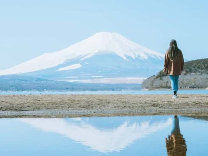 From Tokyo: Mount Fuji Full Day Customizable Private Tour - Introduction: Why This Tour Might Be Your Best Choice
