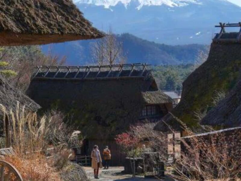 From Tokyo: Mount Fuji Full Day Customizable Private Tour - Why This Tour Offers Great Value