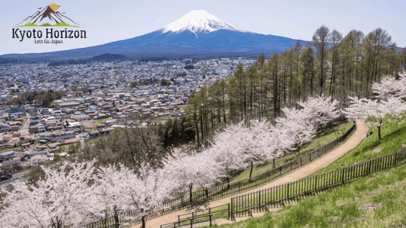 From Tokyo: Mount Fuji Full Day Customizable Private Tour - FAQs