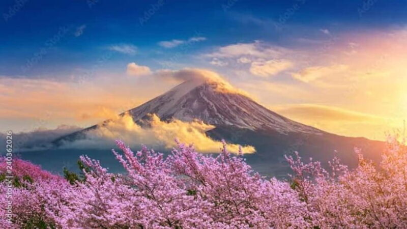 From Tokyo: Mount Fuji Full Day Customizable Private Tour - Introduction
