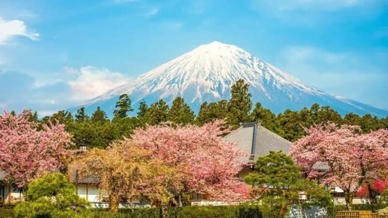 From Tokyo: Mount Fuji Full Day Customizable Private Tour - Key Points