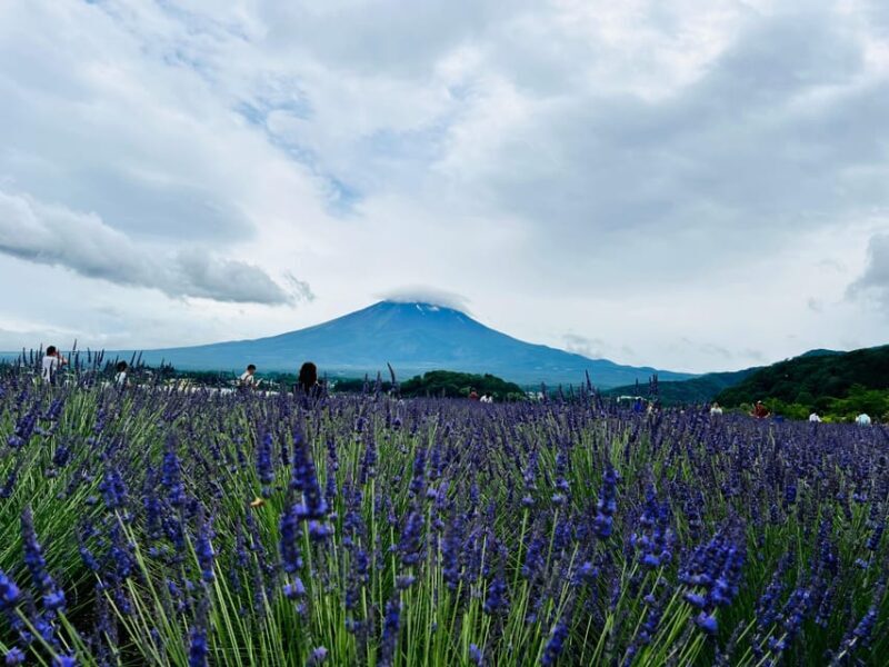 From Tokyo: Mount Fuji Full Day Customizable Private Tour - The Experience: What You’ll Love