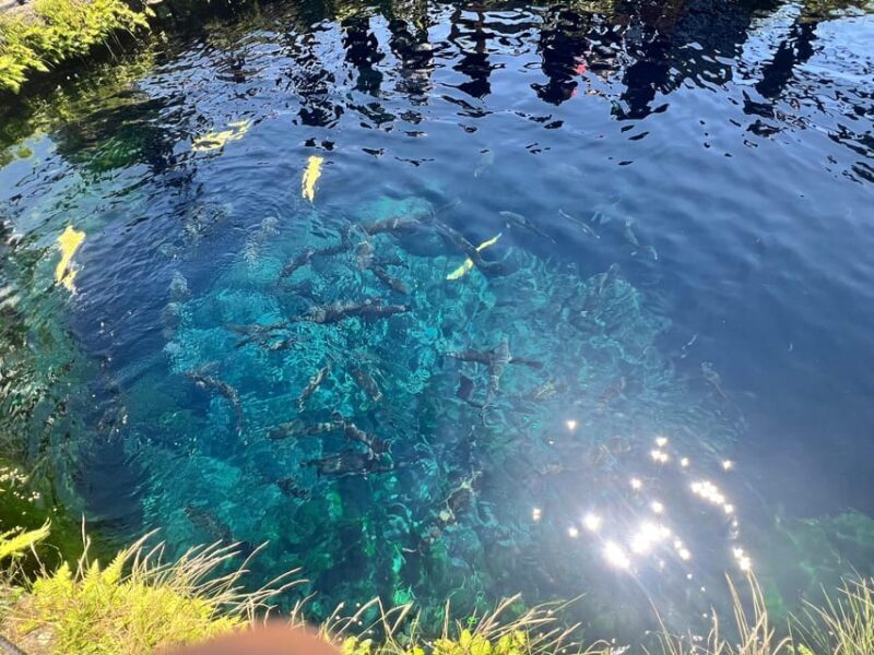 From Tokyo: Mount Fuji Full Day Customizable Private Tour - The Sum Up