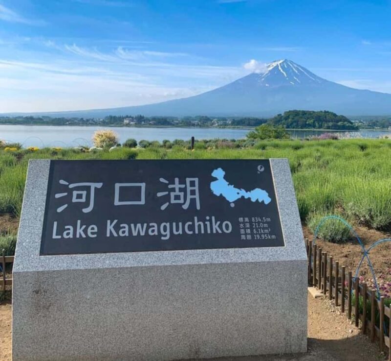 From Tokyo: Mount Fuji Full Day Customizable Private Tour - Key Points