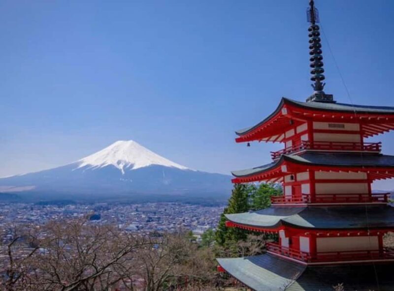 From Tokyo: Mount Fuji Full Day Customizable Private Tour - An In-Depth Look at the Mount Fuji Private Tour