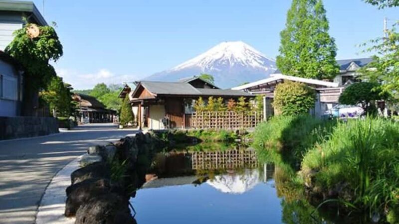 From Tokyo: Mount Fuji Full Day Customizable Private Tour - Key Points