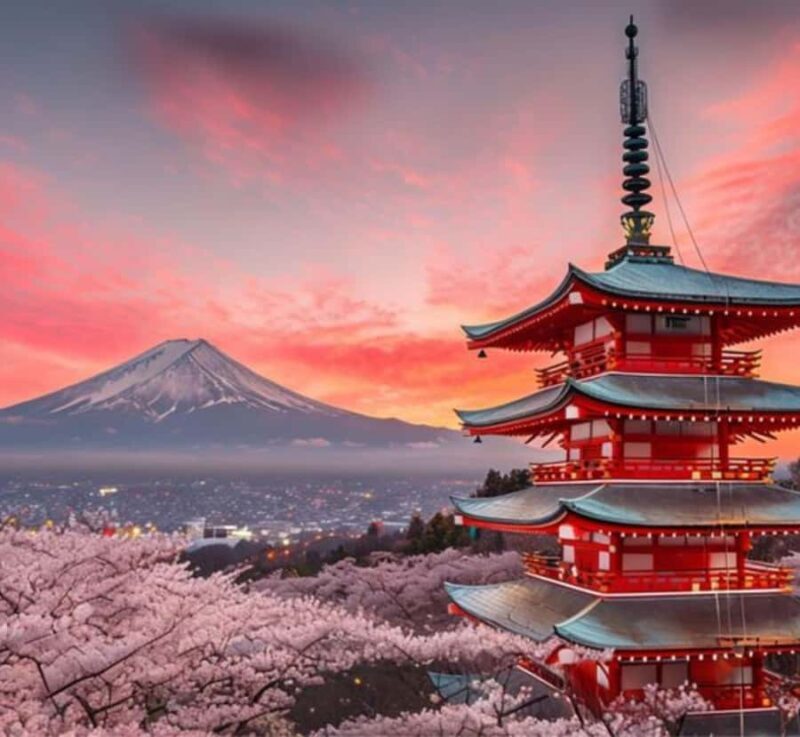 From Tokyo: Mount Fuji Full Day Customizable Private Tour - Introduction