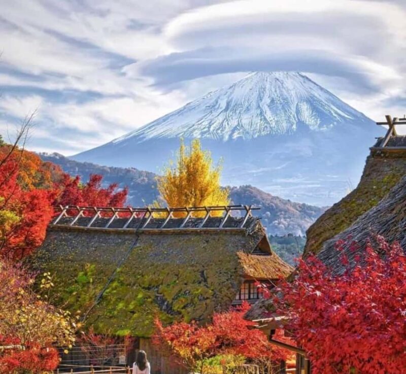 From Tokyo: Mount Fuji Full Day Customizable Private Tour - The Experience On the Ground