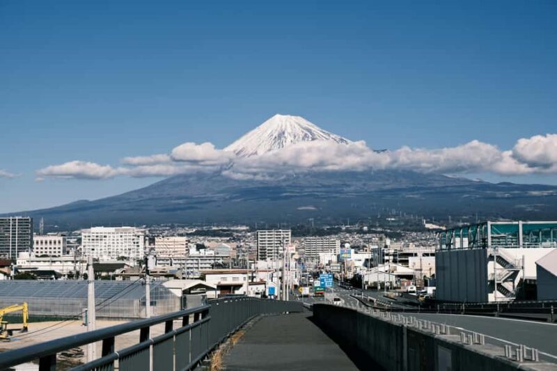 From Tokyo: Mount Fuji Full-Day Customizable & Private Tour - Who Should Consider Other Options?