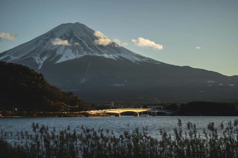 From Tokyo: Mount Fuji Full-Day Customizable & Private Tour - In The Sum Up
