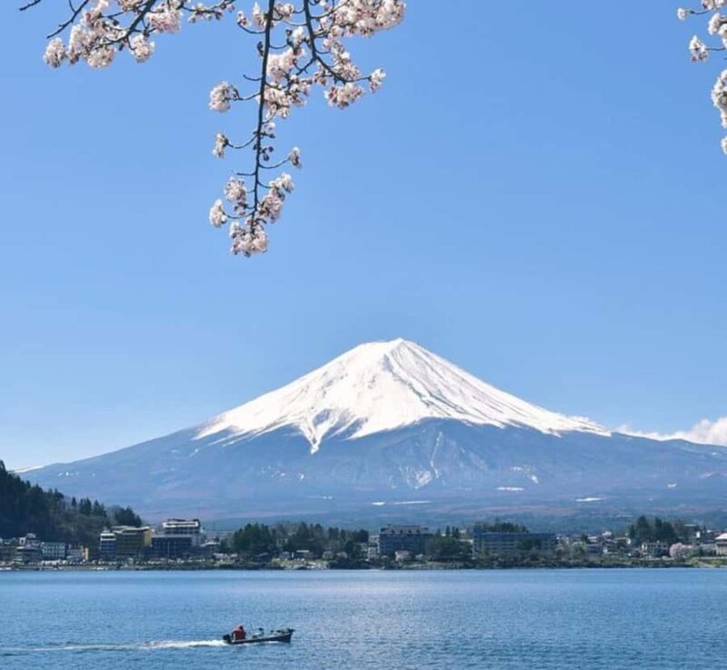 From Tokyo: Mount Fuji Full Day Customizable Private Tour - Final Thoughts: Is This Tour Right for You?