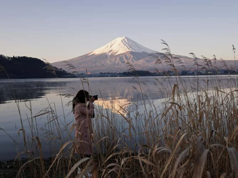 From Tokyo: Mount Fuji Full-Day Customizable Private Tour - The Experience Breakdown: What To Expect