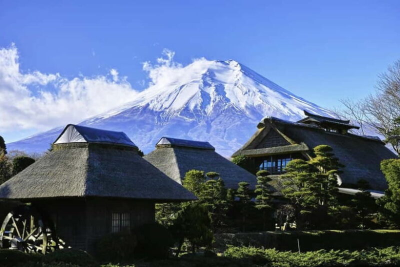 From Tokyo: Mount Fuji Full-Day Customizable Private Tour - Who Will Love This Tour?