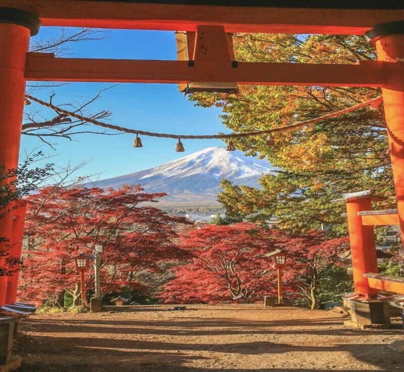 From Tokyo: Mount Fuji Full Day Customizable Tour with Guide - Key Points