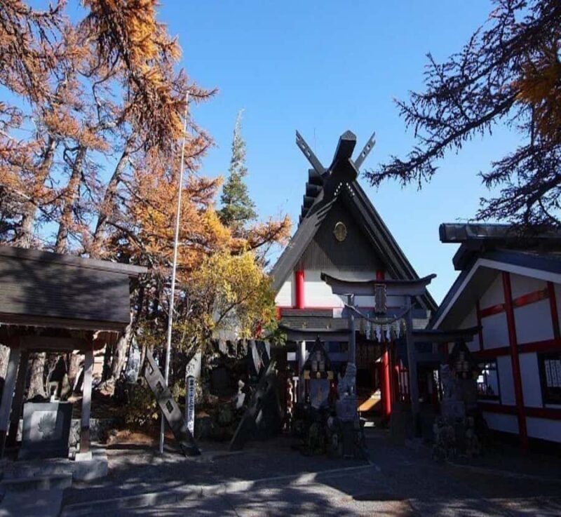 From Tokyo: Mount Fuji Full Day Customizable Tour with Guide - A Closer Look at the Experience