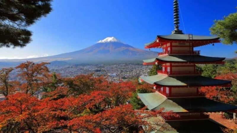From Tokyo: Mount Fuji Full Day Customizable Tour With Guide - Final Thoughts