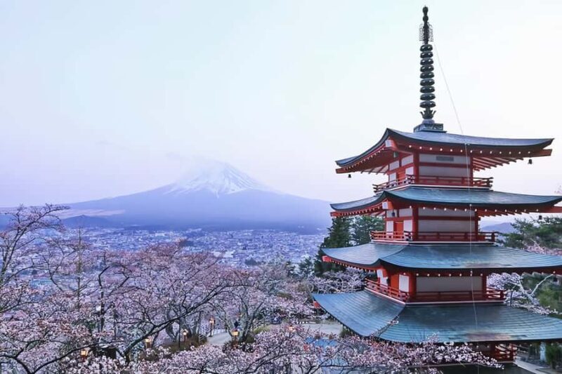 From Tokyo: Mount Fuji Full Day Customized Private Tour 9pax - Introduction: A Private Day with Mount Fuji