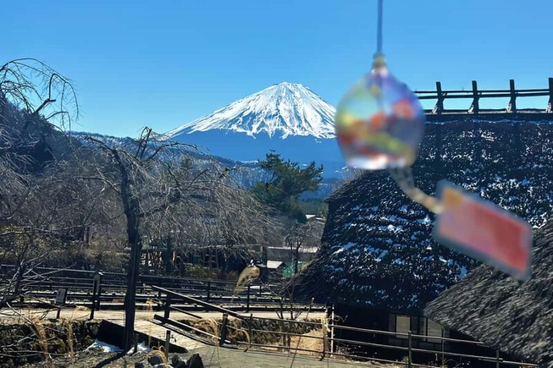 From Tokyo: Mount Fuji Full Day Customized Private Tour 9pax - Itinerary Breakdown: What to Expect