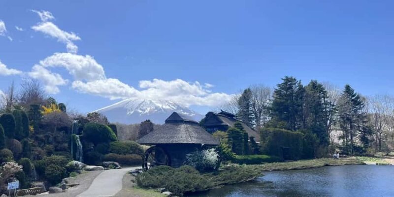 From Tokyo: Mount Fuji Full Day Customized Private Tour 9pax - FAQs